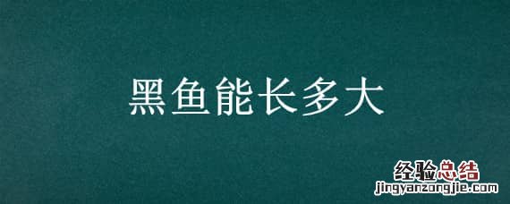 黑鱼能长多大 最大黑鱼能长多大