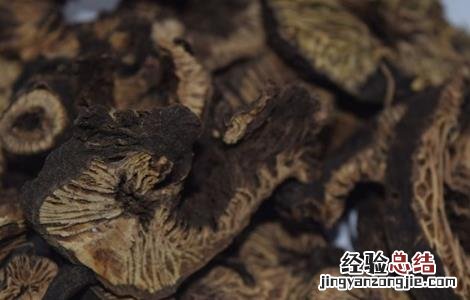 升麻种植技术及效益 如何提高升麻的产量