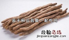 茄子和山药能一起吃吗 你知道答案了吗