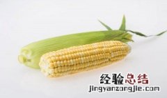 普通玉米怎么煮软糯 玉米怎样煮软糯好吃