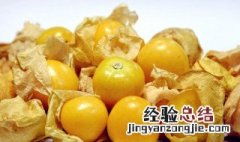 姑娘果怎么榨汁 姑娘果相关介绍