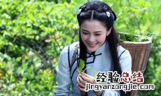 忍冬艳蔷薇属于什么样的电视剧 这部剧的剧情内容是什么