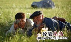 推荐几部有关狼的电影 给大家推荐这几部