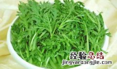 凉拌菊花脑的做法 凉拌菊花脑怎么做