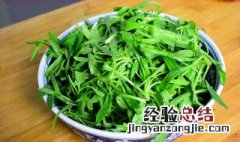 面条菜怎么吃 面条菜如何做好吃
