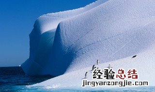 纬度最高的是什么大洲 你知道吗