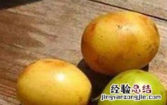 五眼果的作用和功效 五眼果的功效与作用及禁忌