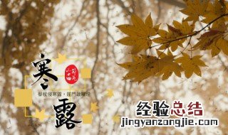 关于寒露的诗句和谚语 描写寒露的谚语