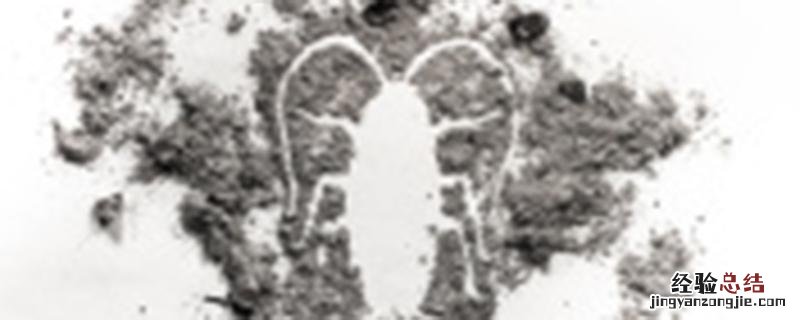 魔芋种子用草木灰消毒方法 草木灰怎样给魔芋消毒