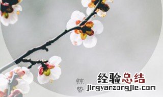 惊蛰有什么传统习俗 送给需要的你