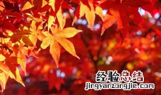 关于写秋天的诗 关于写秋天的诗词