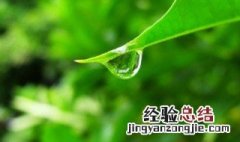 为什么水会沿着墙壁往楼下渗透 水会沿着墙壁往楼下渗透是为什么