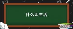 什么叫生活照片 什么叫生活