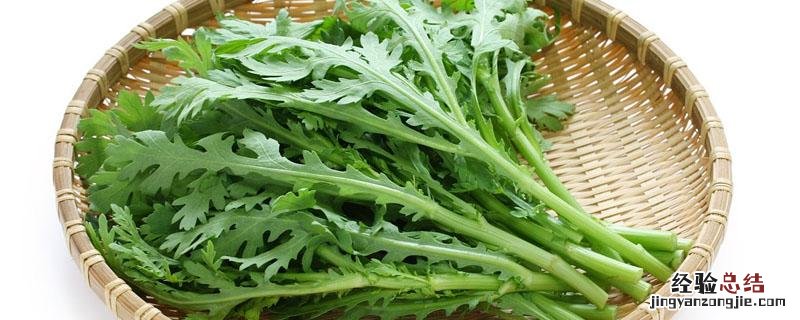 茼蒿吃叶子还是吃杆 茼蒿杆叶子能吃吗