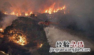澳大利亚火灾如何发生 大家可以了解一下
