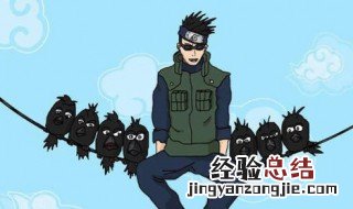 火影忍者山城青叶带什么秘卷 山城青叶怎么操作