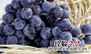 家庭自酿葡萄酒的方法 家庭酿制葡萄酒的方法
