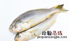 梭鱼怎么做好吃带图 梭鱼怎么做才好吃