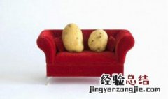 沙发上的土豆是什么 你知道吗