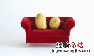 沙发上的土豆是什么 你知道吗