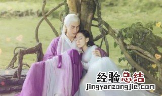 凤九怀上白滚滚是几集 进来看看