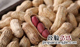 我们吃的花生是它的什么 我们吃的花生米是花生的什么