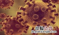 细菌有哪些 细菌有哪些细胞器
