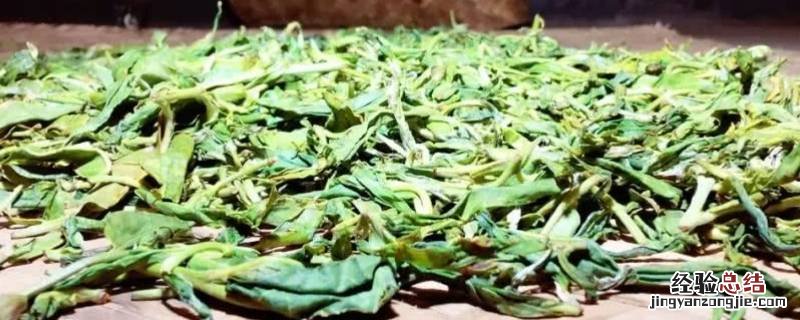 梅子箐古树茶的特点 梅子箐古树茶特点