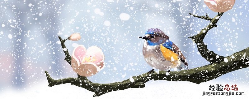 寒号鸟的故事告诉我们什么道理 寒号鸟的故事告诉我们什么道理用一句名言写下来