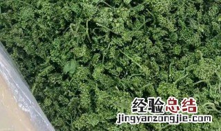 人参花的功效与作用及食用方法 人参花的功效与作用及食用方法大全和禁忌