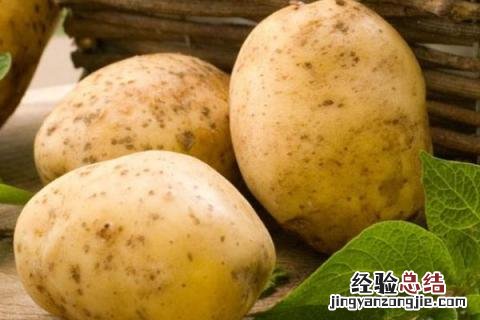 马铃薯没熟吃了会怎么样? 马铃薯脆的是不是还没熟