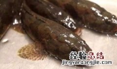 塘鳢鱼怎么吃才有营养 塘鳢鱼怎么吃