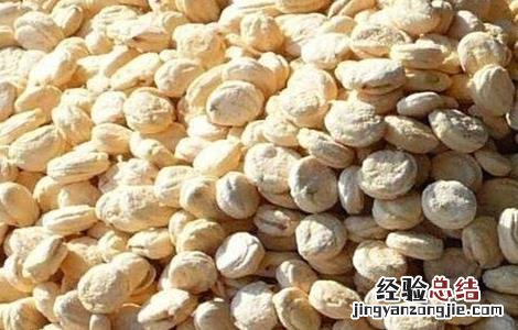 人参种子如何催芽 人参种子如何催芽视频教程