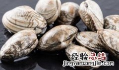 揭秘花甲的营养价值 花甲的营养价值是什么