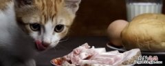 猫猫生骨肉怎么做 生骨肉怎么做