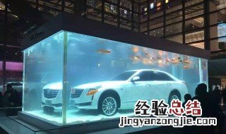 凯迪拉克为什么放在水里 网上凯迪拉克放在水里的照片是干什么的