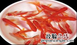 用来研究儿童的自我控制能力及行为发展的实验方法是 幼儿自我控制能力发展的研究