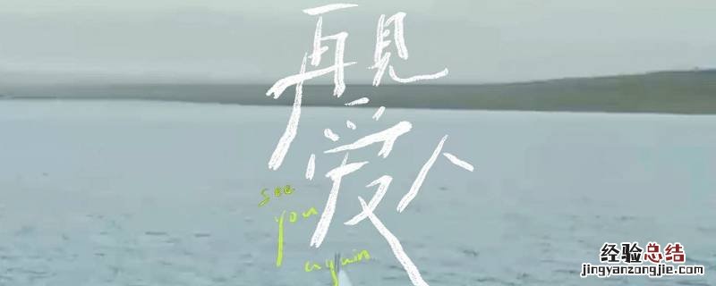再见爱人综艺共多少期 再见爱人一共几期