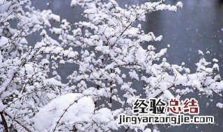忽如一夜春风来千树万树梨花开的诗意是什么 忽如一夜春风来原文是什么