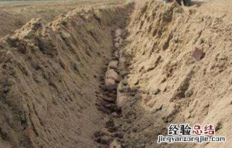山药的种植注意事项 种植山药需要注意什么