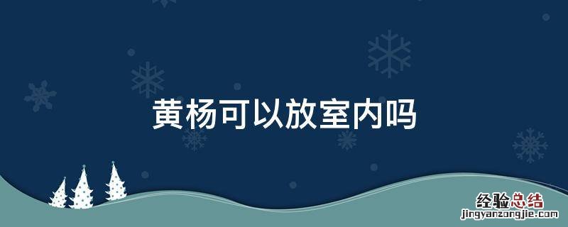 房间里可以放黄杨吗 黄杨可以放室内吗