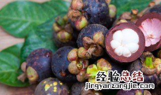 山竹子可以吃吗怎么吃 山竹子可以吃吗