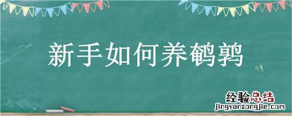 新手如何养鹌鹑苗 新手如何养鹌鹑