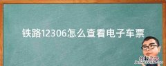 铁路12306怎么查看电子车票 12306电子客票在哪里看