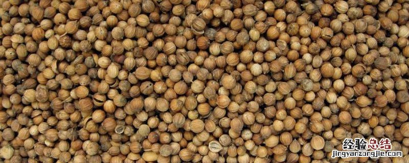 香菜籽在香料中的作用 香菜籽在香料中的作用在卤水的作用