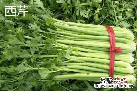 芹菜和西芹有什么区别图片 芹菜和西芹有什么区别