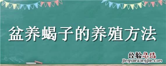 蝎子养殖技术宝典 盆养蝎子的养殖方法