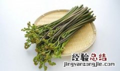 蕨菜干怎么处理才能吃 蕨菜干需要注意什么