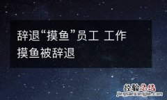 辞退“摸鱼”员工 工作摸鱼被辞退
