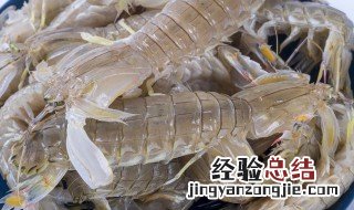 皮皮虾怎么保鲜 如何保存皮皮虾
